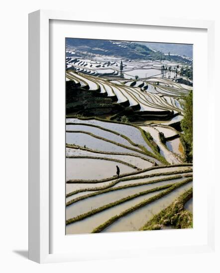 Flooded Bada Rice Terraces, Yuanyang County, Yunnan Province, China-Charles Crust-Framed Photographic Print