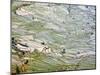 Flooded Laohu Zui Rice Terraces, Mengpin Village, Yuanyang County, Yunnan, China-Charles Crust-Mounted Photographic Print