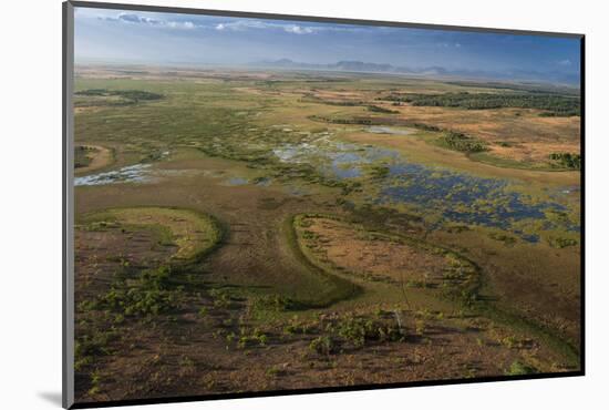 Flooded Savanna Rupununi, Guyana-Pete Oxford-Mounted Photographic Print