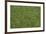 Floor Mat Grass-Color Bakery-Framed Giclee Print