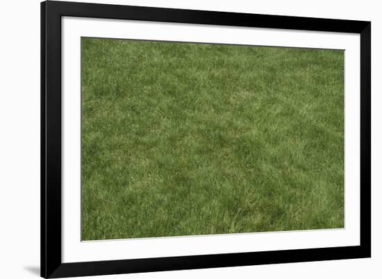 Floor Mat Grass-Color Bakery-Framed Giclee Print