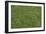 Floor Mat Grass-Color Bakery-Framed Giclee Print