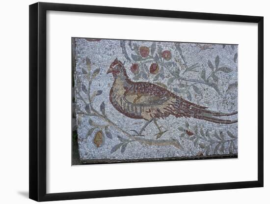 Floor mosaic from a Roman villa-Unknown-Framed Giclee Print