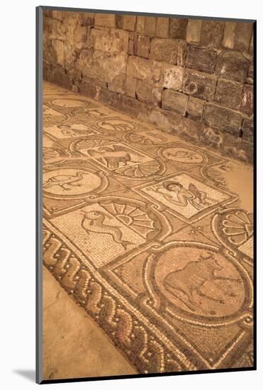 Floor Mosaics, Petra Church (Byzantine Church), Built Between the 5th and 7th Centuries Ad-Richard Maschmeyer-Mounted Photographic Print