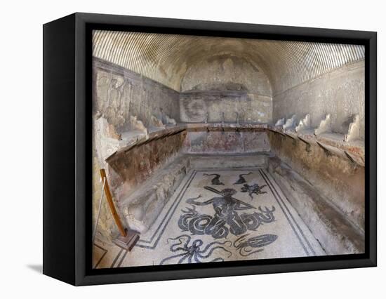 Floor of Tepidarium in Roman Central Baths Mosaic Depicting Triton, Campania, Italy-null-Framed Premier Image Canvas