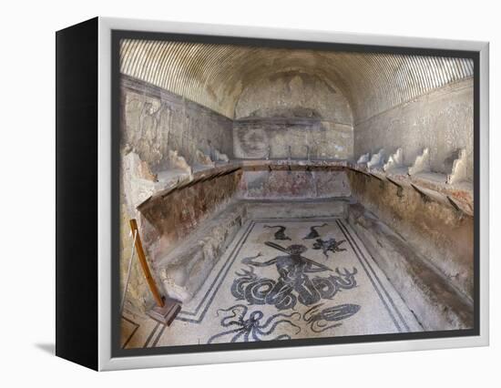 Floor of Tepidarium in Roman Central Baths Mosaic Depicting Triton, Campania, Italy-null-Framed Premier Image Canvas