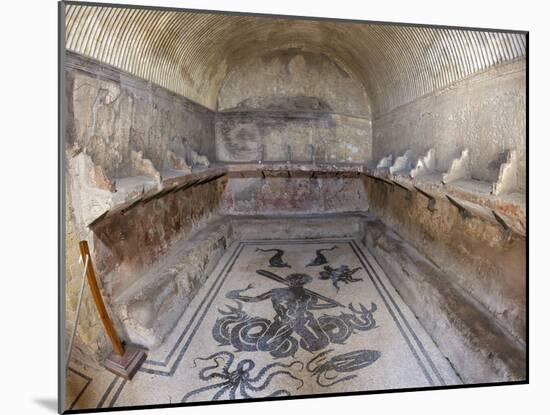 Floor of Tepidarium in Roman Central Baths Mosaic Depicting Triton, Campania, Italy-null-Mounted Photographic Print