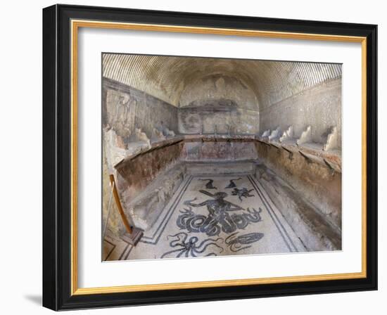 Floor of Tepidarium in Roman Central Baths Mosaic Depicting Triton, Campania, Italy-null-Framed Photographic Print