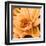 Flor de Loto I-Nelly Arenas-Framed Art Print