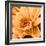 Flor de Loto I-Nelly Arenas-Framed Art Print