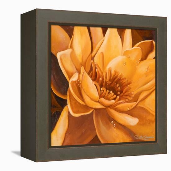 Flor de Loto II-Nelly Arenas-Framed Stretched Canvas