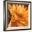 Flor de Loto II-Nelly Arenas-Framed Art Print