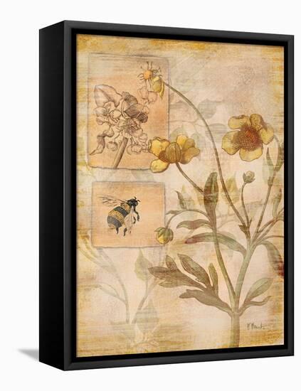 Flora Bumble Bee-Paul Brent-Framed Stretched Canvas