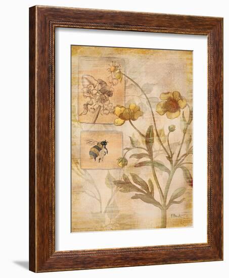 Flora Bumble Bee-Paul Brent-Framed Art Print