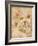 Flora Bumble Bee-Paul Brent-Framed Art Print