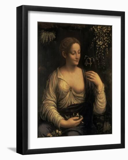 Flora, c.1520-Francesco Melzi-Framed Giclee Print