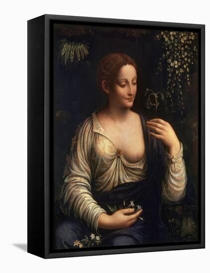 Flora, C1510-C1515-Francesco Melzi-Framed Premier Image Canvas