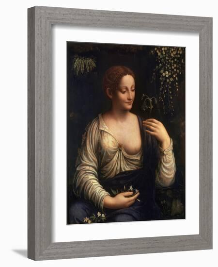 Flora, C1510-C1515-Francesco Melzi-Framed Giclee Print