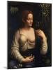 Flora, C1510-C1515-Francesco Melzi-Mounted Giclee Print