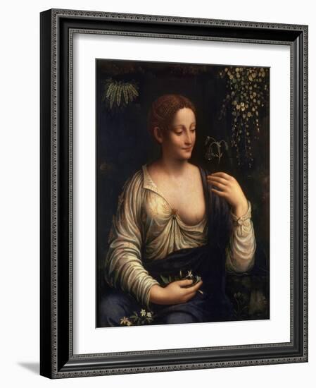 Flora, C1510-C1515-Francesco Melzi-Framed Giclee Print