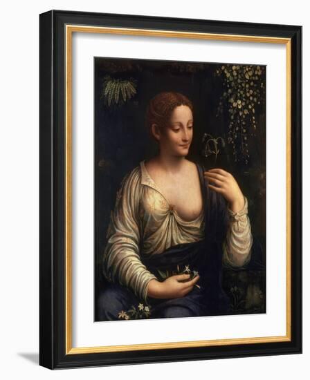 Flora, C1510-C1515-Francesco Melzi-Framed Giclee Print