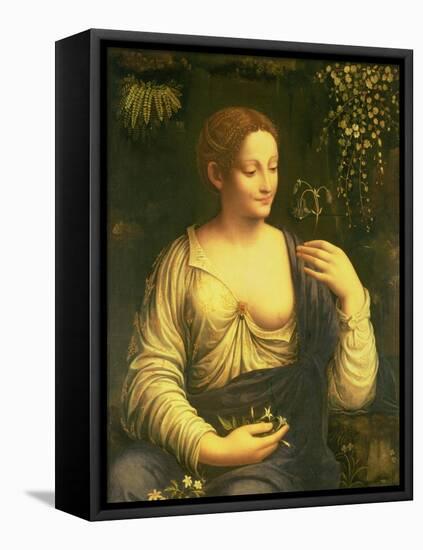 Flora, circa 1520-Francesco Melzi Or Melzo-Framed Premier Image Canvas