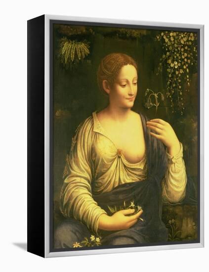 Flora, circa 1520-Francesco Melzi Or Melzo-Framed Premier Image Canvas