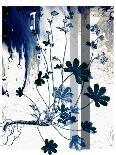 Leafs-Flora Danica-Framed Art Print