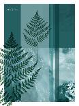 Fern-Flora Danica-Art Print