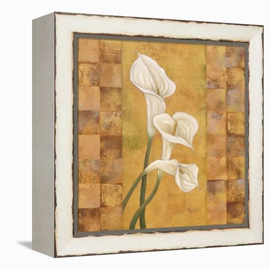 Flora del Rey I-Paul Brent-Framed Stretched Canvas