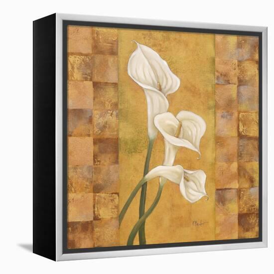 Flora del Rey I-Paul Brent-Framed Stretched Canvas