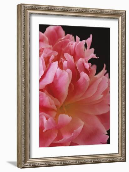 Flora Grace-Irene Suchocki-Framed Giclee Print