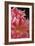 Flora Grace-Irene Suchocki-Framed Giclee Print