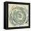 Flora II-Sisa Jasper-Framed Stretched Canvas