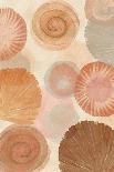 Terracotta Shells II-Flora Kouta-Mounted Art Print