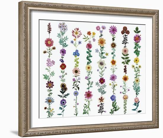 Flora Linea-Sharon Elphick-Framed Giclee Print
