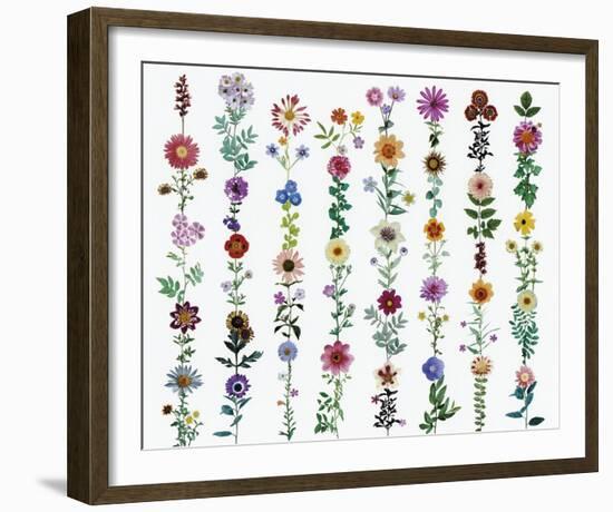 Flora Linea-Sharon Elphick-Framed Giclee Print