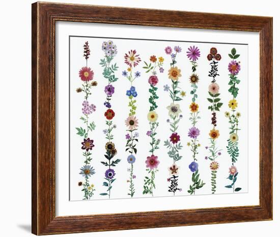 Flora Linea-Sharon Elphick-Framed Giclee Print