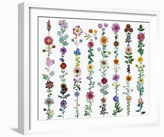 Flora Linea-Sharon Elphick-Framed Giclee Print