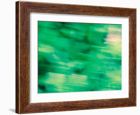 Flora Motion-Savanah Plank-Framed Photo