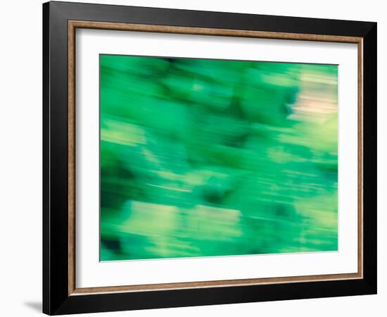 Flora Motion-Savanah Plank-Framed Photo