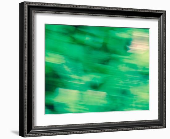 Flora Motion-Savanah Plank-Framed Photo