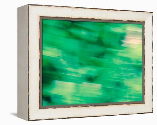 Flora Motion-Savanah Plank-Framed Stretched Canvas