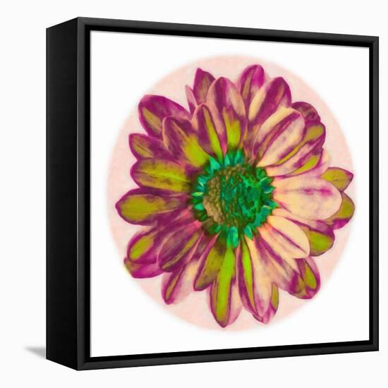 Flora Orb I-Ricki Mountain-Framed Stretched Canvas