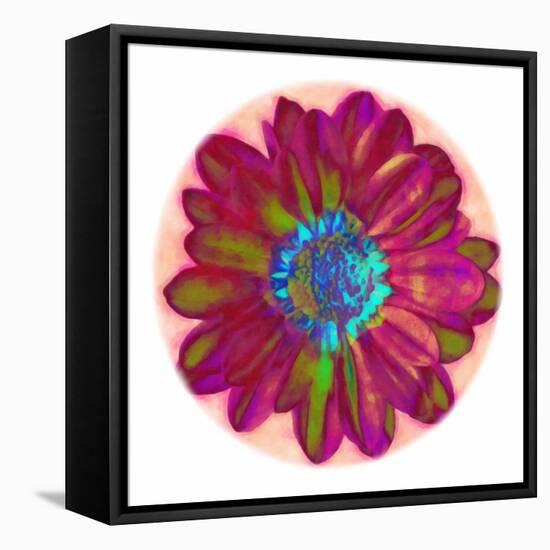 Flora Orb II-Ricki Mountain-Framed Stretched Canvas