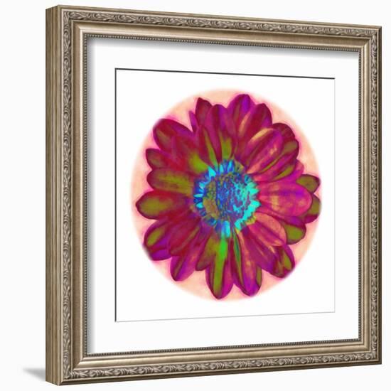 Flora Orb II-Ricki Mountain-Framed Art Print