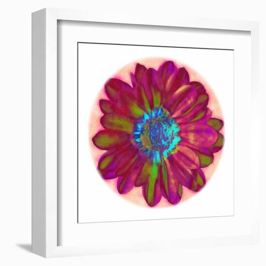 Flora Orb II-Ricki Mountain-Framed Art Print