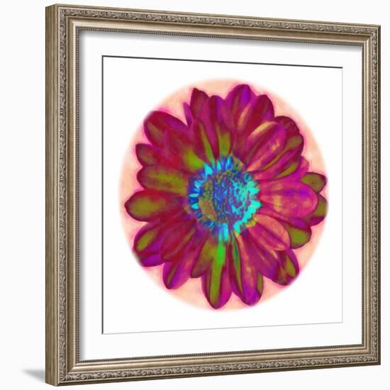 Flora Orb II-Ricki Mountain-Framed Art Print