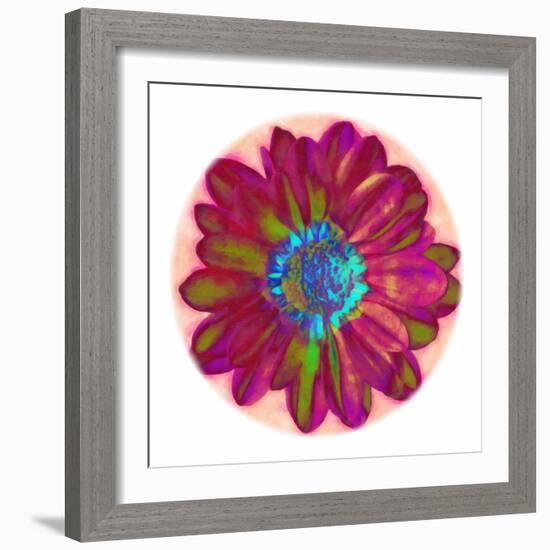 Flora Orb II-Ricki Mountain-Framed Art Print