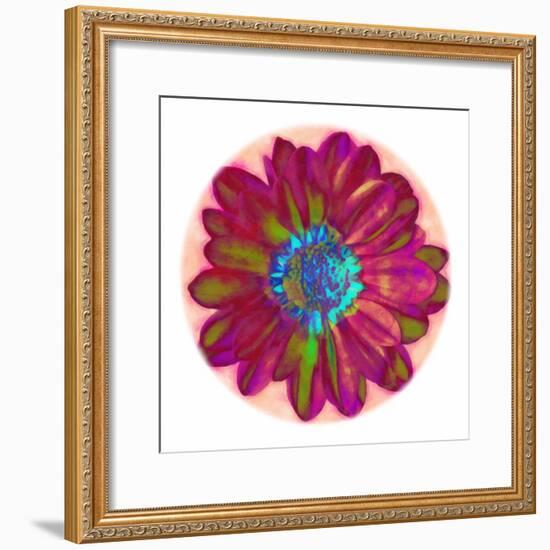 Flora Orb II-Ricki Mountain-Framed Art Print